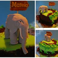 Elephant cake