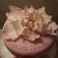 peony and two tone stencil cake