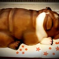 British bulldog cake 