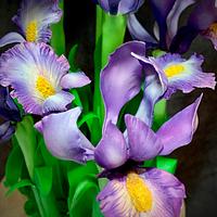 Irises in Spring