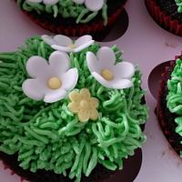 Lady bug cupcakes