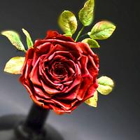 Deep Red Rose!!