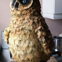 Potters Owls - Malfoy