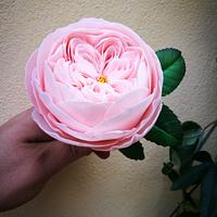English rose 