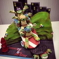 Ninja Turtle Cake.