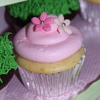 Ladybug Cake and cupcakes