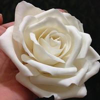 Simple Classic Cream White Sugar Rose