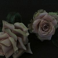 rose delicate