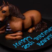 Giddy up! Horse cake