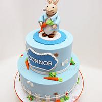 Peter the rabbit birthday cake