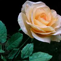 Wafer paper rose