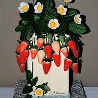 Strawberry Birthday cake