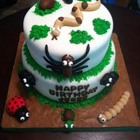 Insect cake