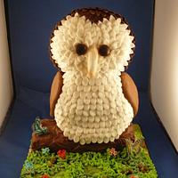 Barn Owl Cake 