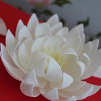 Oriental Water Lily & Dragon Cake.