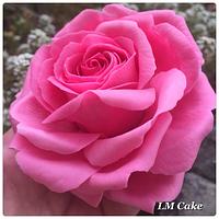 Pink Freeform Sugar Rose