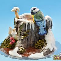 Bird Cake Bird Cake