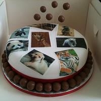 Animal  and malteser chocolate cake