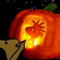 Snoopys' Woodstock Carving - The Great Pumpkin Collaboration 