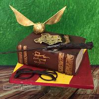 Siofra - Harry Potter Birthday Cake