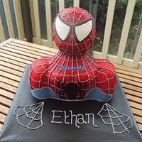 Spiderman bust cake - July 2012