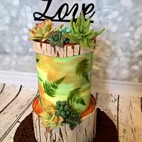 succulents with love