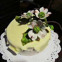 Little cheesecake with flowers