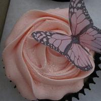 Cupcakes with edible butterfly