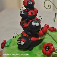 Ladybugs climbing