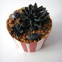Succulents Plants Cupcakes