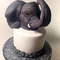 elephant ❤️