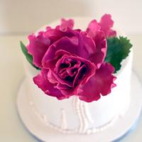 GF/Vegan Bridal Cake