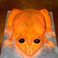 Orange frog cake