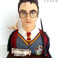 Harry Potter Bust cake