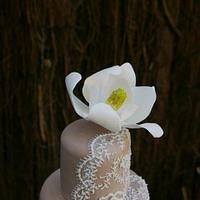 lace and magnolia cake