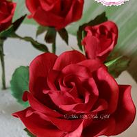 Valentine's Roses