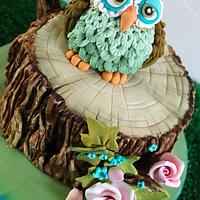 Cute owl cake