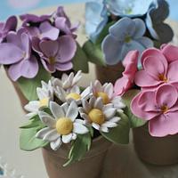 Flower Pot cakes