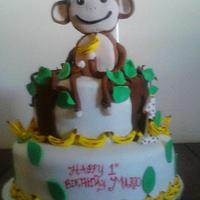 monkeys 1st birthday