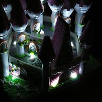 led light up princess castle