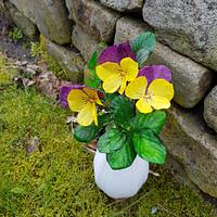 Wafer Paper Pansy Wafer Paper Pansy