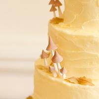 Pixie Boho wedding cake