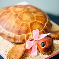Sea turtle cake Sea turtle cake