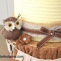 Rustic Owl and log cake