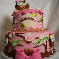 Owl 1st Birthday Cake