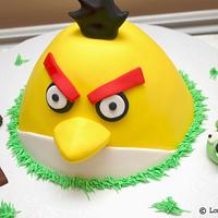 Angry Bird!
