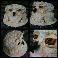 A Hoot!  My Owl Cake