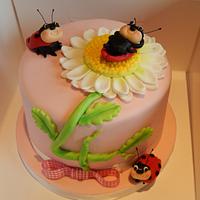 Little relaxing Ladybird Daisy cake