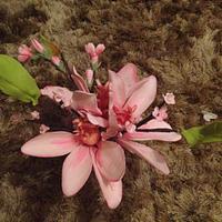 Christening Cake - Jemima Puddleduck and spring flowers 