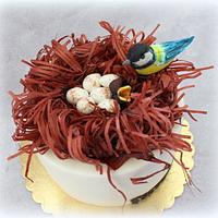 bird and nest with eggs